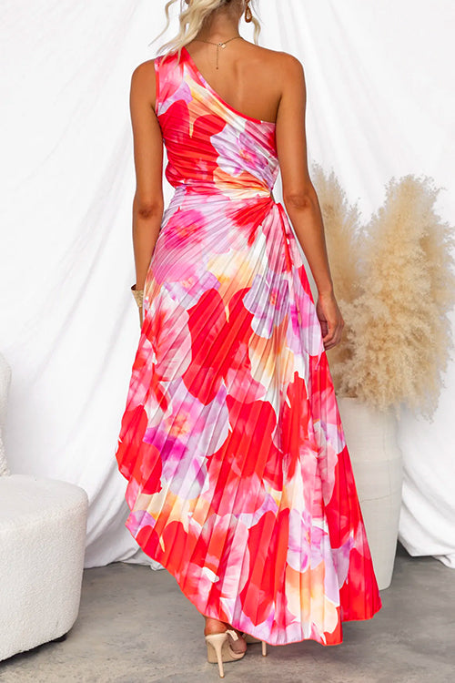 Elspeth | Pleated One-Shoulder Floral Maxi Dress