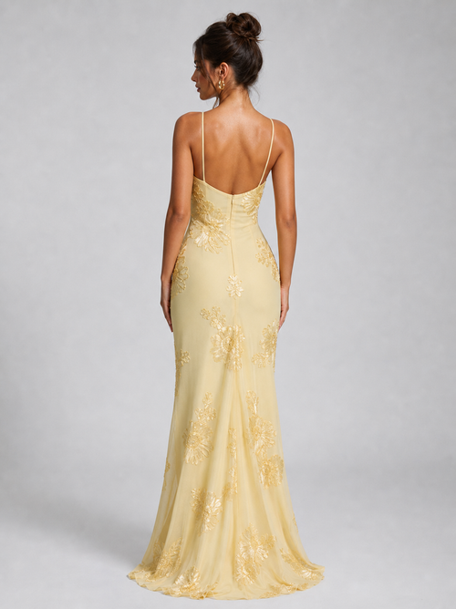 Colette Floral Corset Maxi Dress | Women's Embroidered Occasion Dress