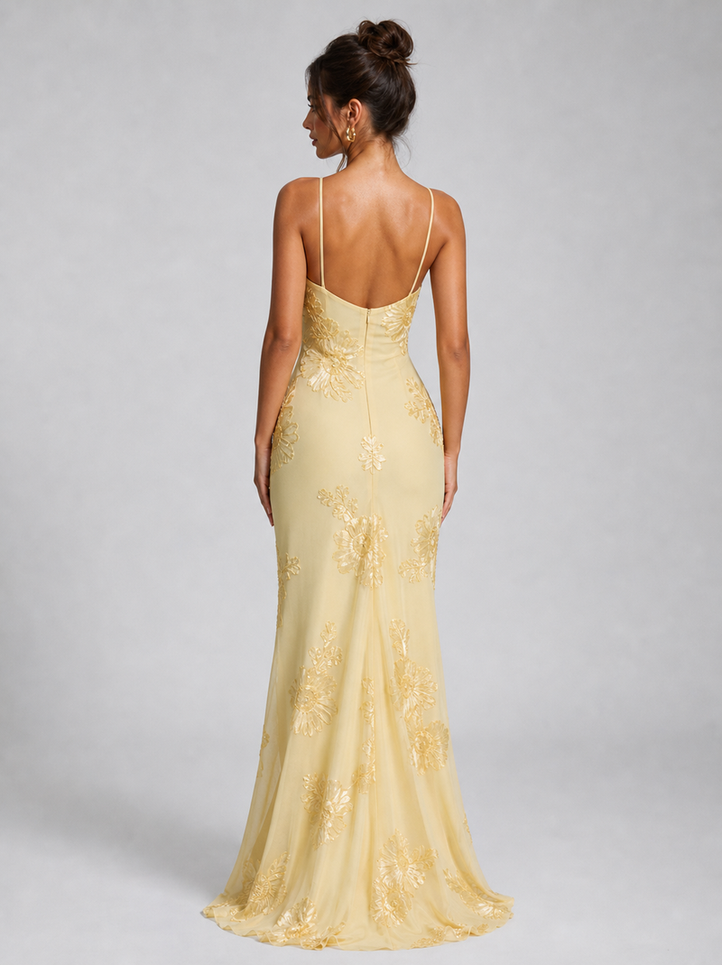 Colette Floral Corset Maxi Dress | Women's Embroidered Occasion Dress